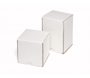 Single White Mailing Carton